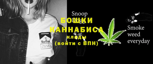 метадон Белокуриха